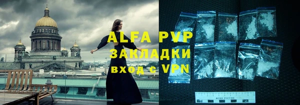 Альфа ПВП Новозыбков