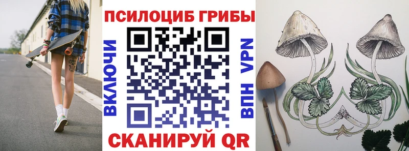 дарнет шоп Алейск Псилоцибиновые грибы Psilocybe