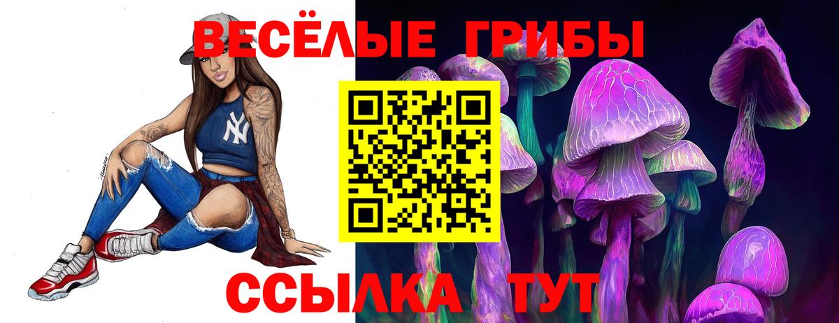 Галлюциногенные грибы Psilocybine cubensis Алейск